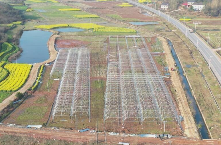 衡阳县：加快集中育秧设施建设 确保春耕生产不误农事