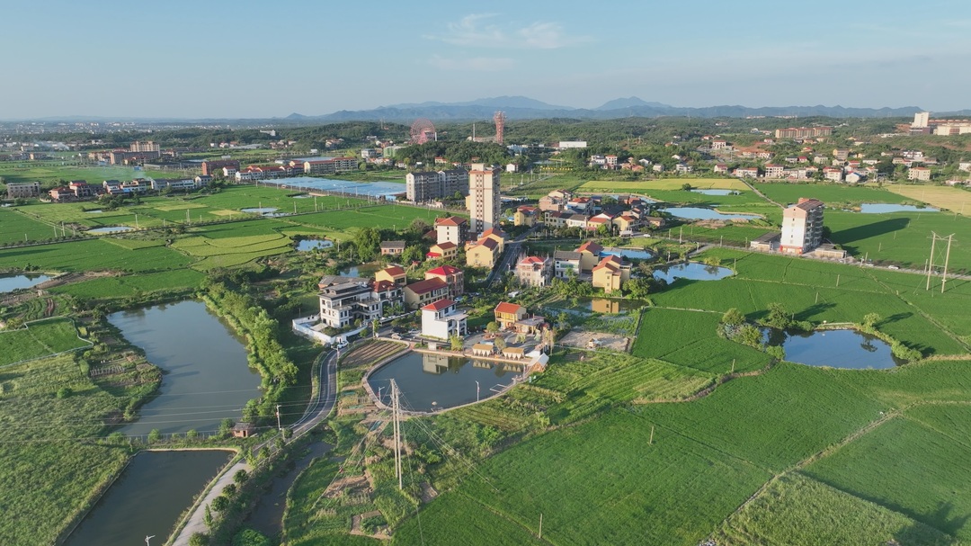 鄉(xiāng)村振興丨梅花村：“民宿＋”出圈，助力鄉(xiāng)村旅游提質升級