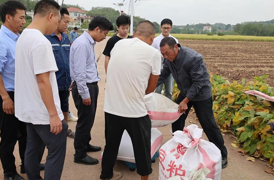 农业科技人员“揭榜挂帅”领办稻再油示范片再生季稻丰收 两季平均亩产998.1公斤