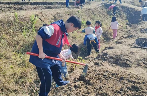 衡阳县盘石完小：初种霜降日，汗撒希望地