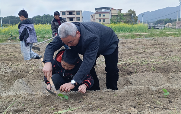 衡阳县盘石完小：家人老师齐上阵，劳动基地娃儿忙