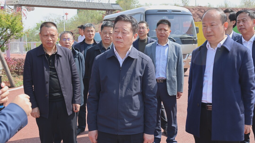 何寄华率队来我县调研乡村振兴工作