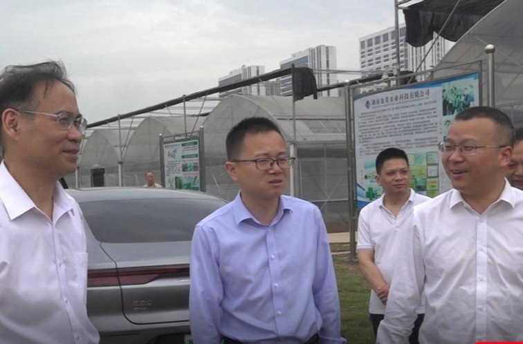 武穴市政协调研组来我县调研返乡创业工作