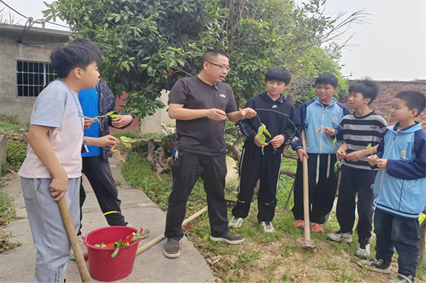 衡阳县金兰镇中心小学：种植中医药材，弘扬国粹文化