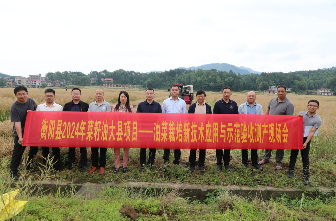 衡陽縣2024年產(chǎn)油大縣科技服務(wù)項(xiàng)目專項(xiàng)萬畝油菜栽培新技術(shù)示范區(qū)現(xiàn)場測產(chǎn)驗(yàn)收 平均畝產(chǎn)197.5公斤