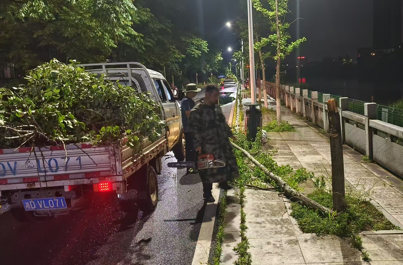 縣園林綠化所：主動出擊應(yīng)對極端大風(fēng)暴雨天氣