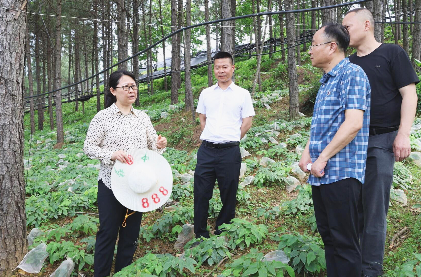 刘洋调研农村集体“三资”管理等工作