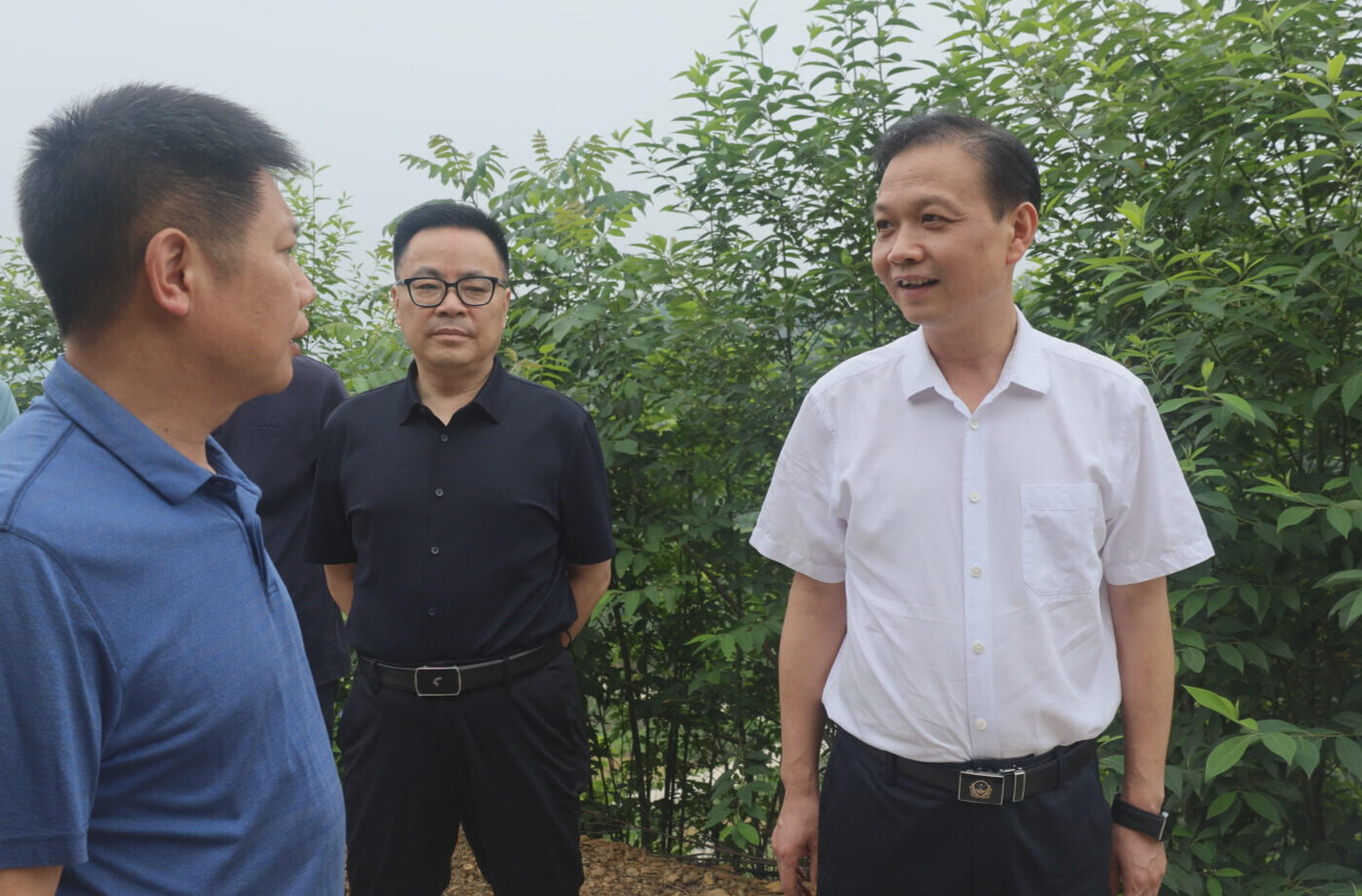 杨峰到金兰、洪市、曲兰调研 做好“特”字文章 为乡村产业赋能增效
