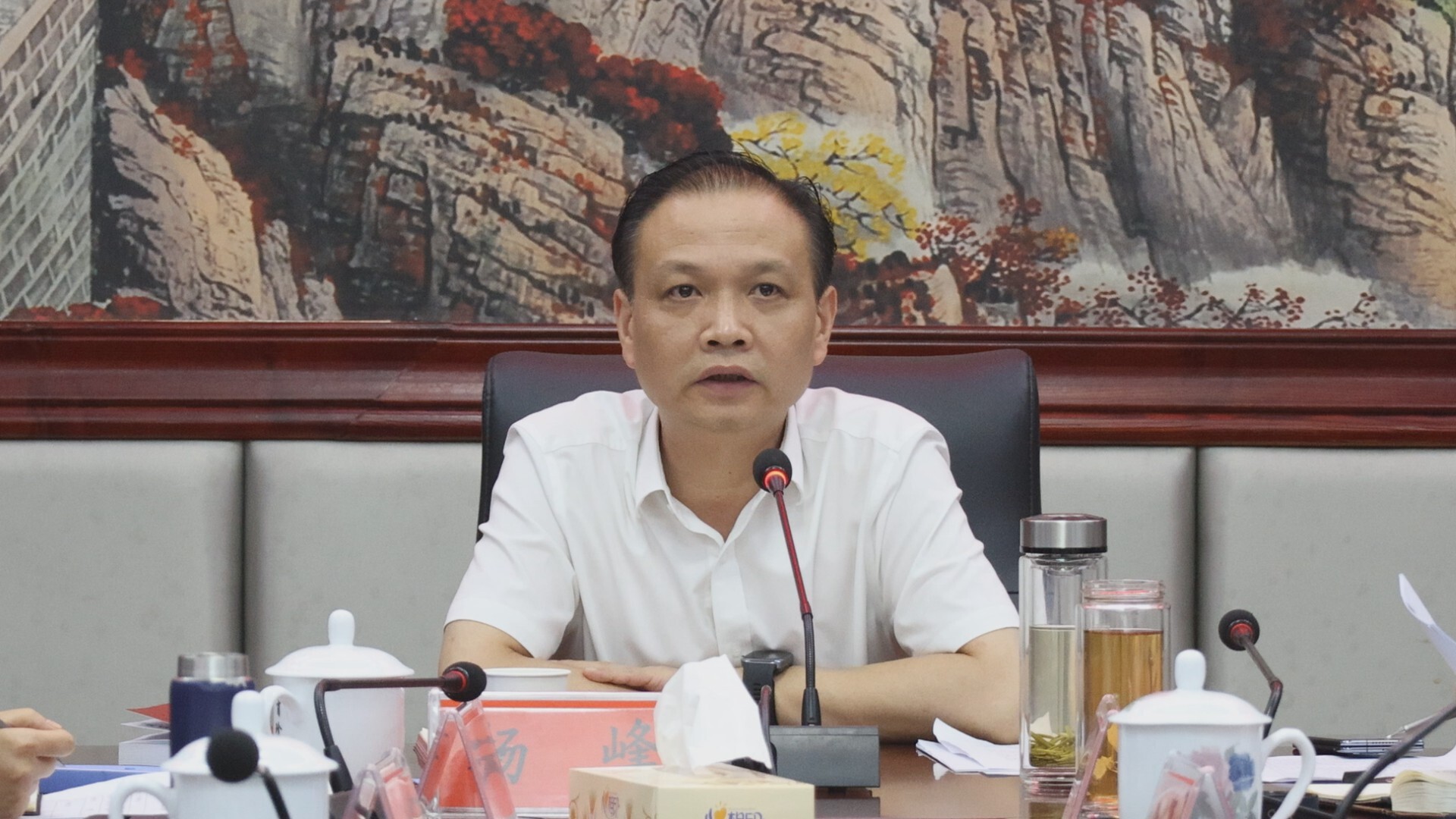 杨峰专题调度“十五五”规划编制工作