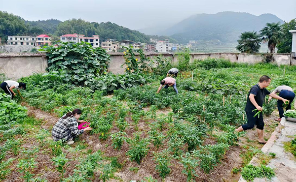 衡阳县清潭中学：勤耕绽芳华  夏日结硕果