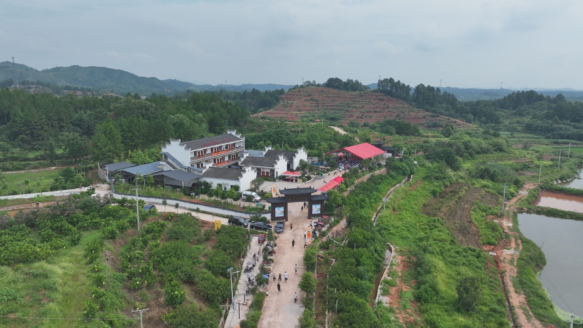 鄉(xiāng)村振興︱三湖鎮(zhèn)：黃桃飄香引客來，農(nóng)旅盛宴展新貌