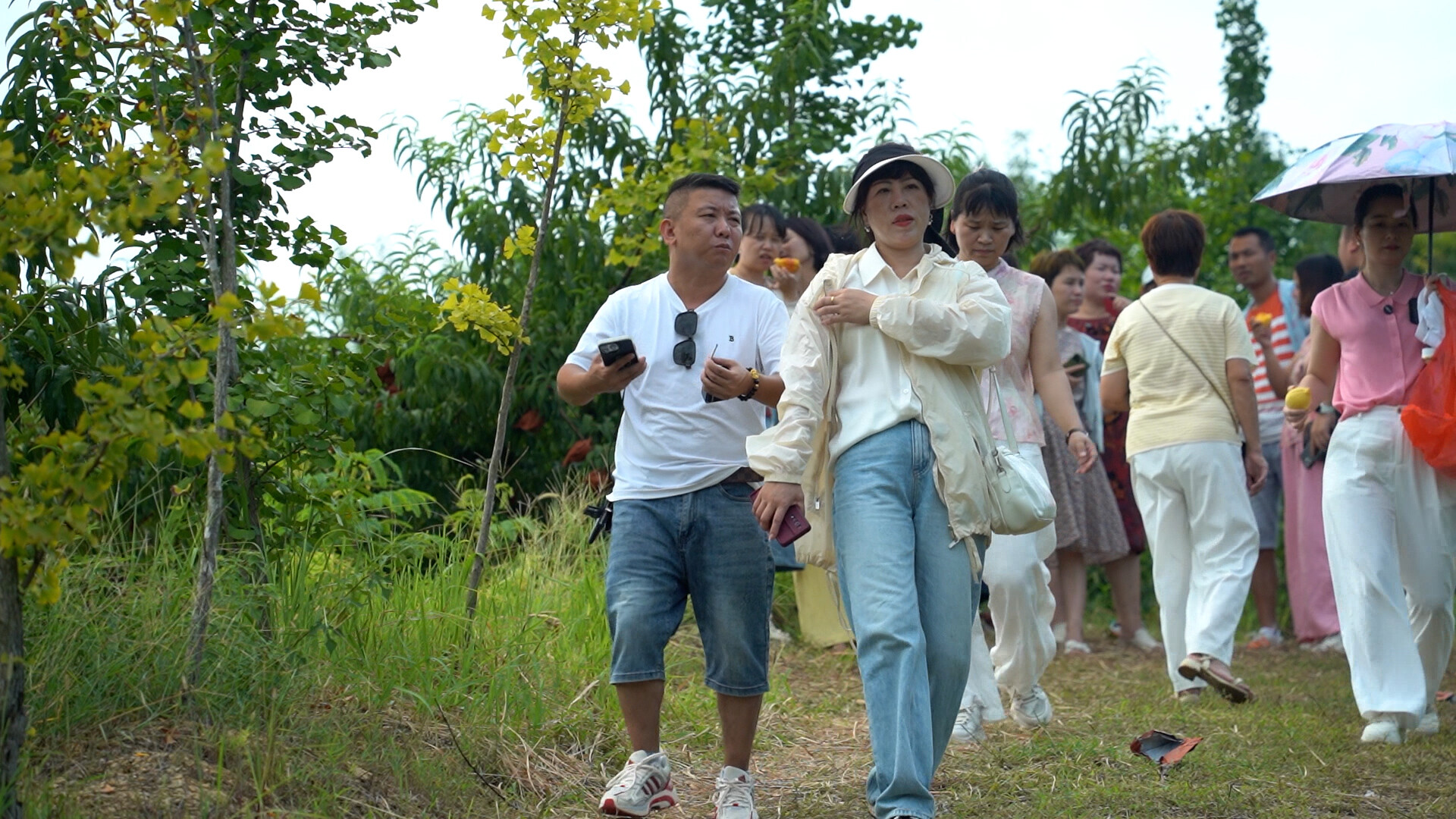 鄉(xiāng)村振興 | 演陂鎮(zhèn)：黃桃掛滿枝 游客踏香來