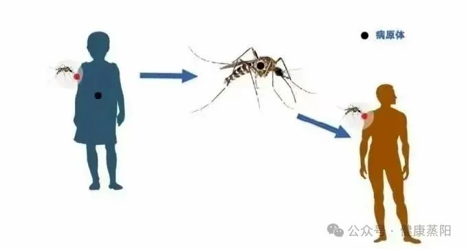 注意，疫情已出現(xiàn)外溢！衡陽(yáng)疾控發(fā)布健康提示