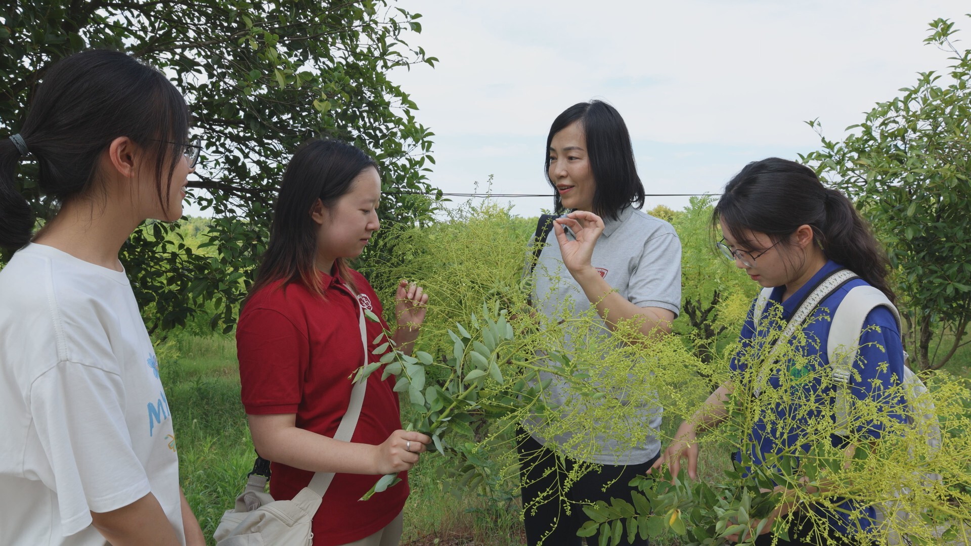 北京中醫(yī)藥大學(xué)來(lái)我縣開(kāi)展暑期社會(huì)實(shí)踐