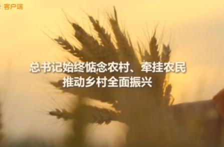 總書記的人民情懷丨“以加快農(nóng)業(yè)農(nóng)村現(xiàn)代化更好推進(jìn)中國式現(xiàn)代化建設(shè)”