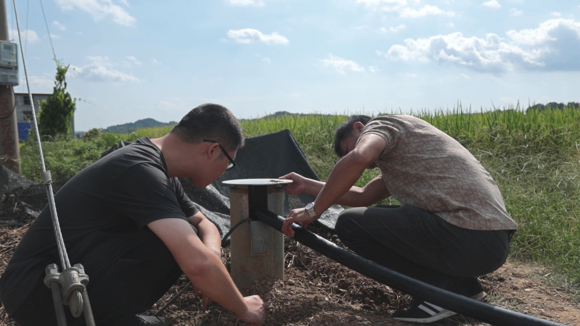 防旱抗旱｜库宗桥镇：稻田“解渴”有良方，多措并举抗旱保丰收