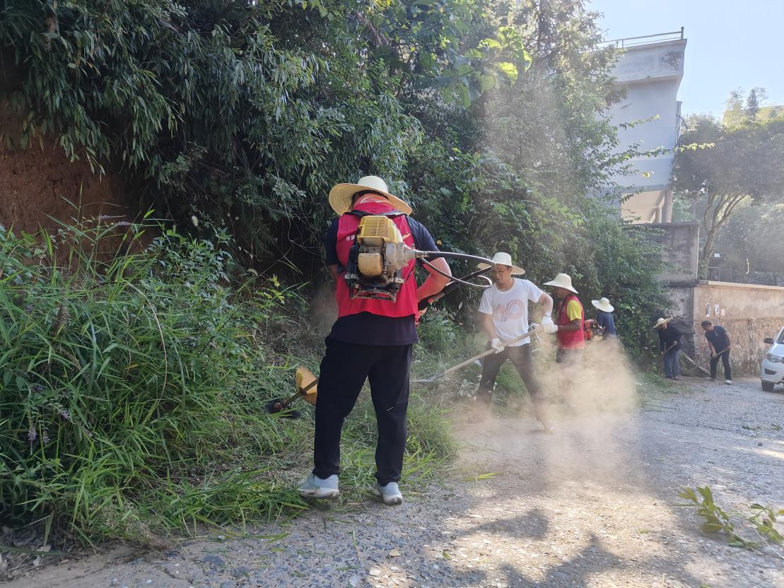 洪市镇市田村：干群合力除草清障，畅通乡村“民心路”