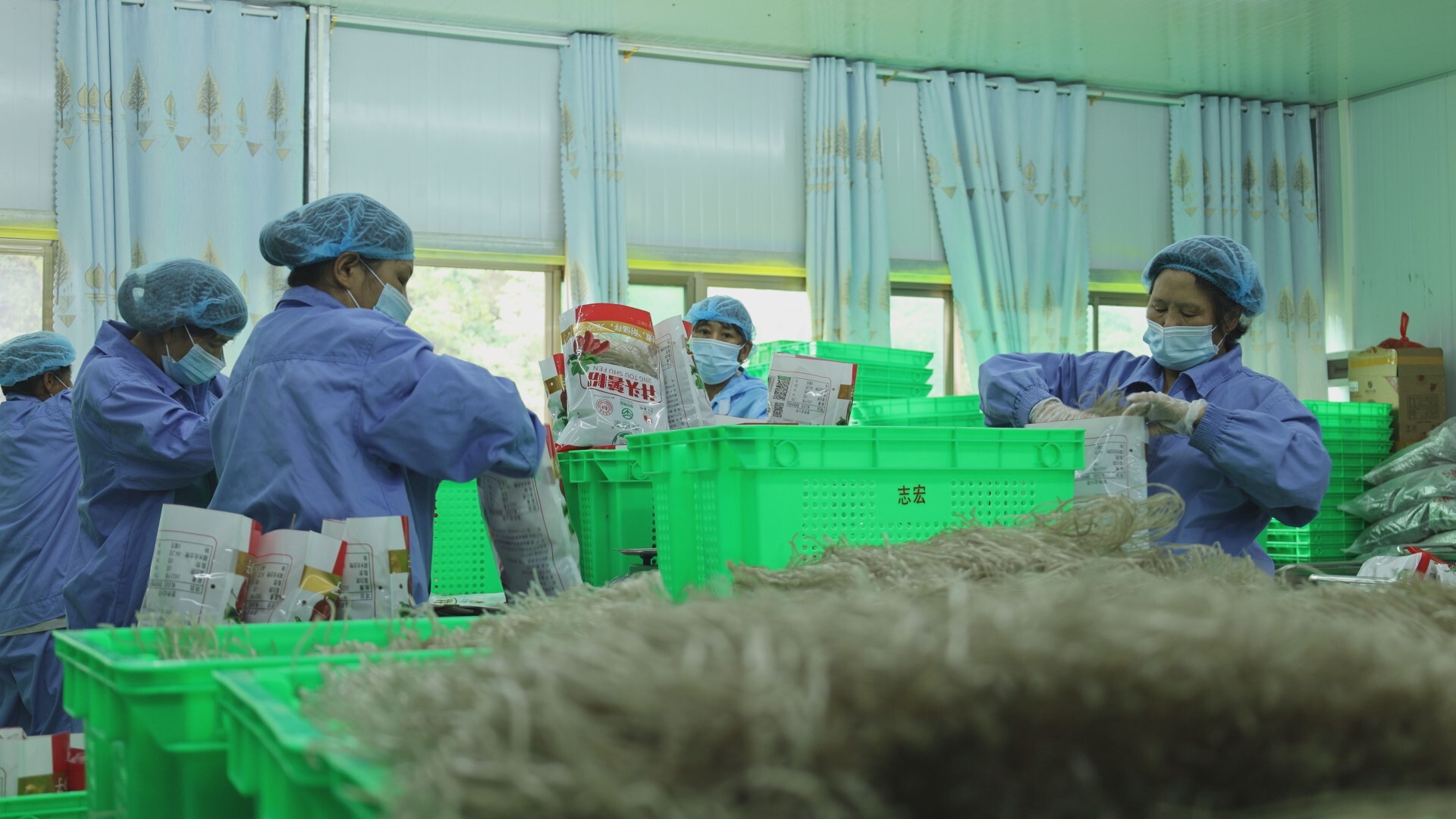 科普之光照亮乡村路｜井头镇：科技赋能小红薯，撑起乡村振兴大产业