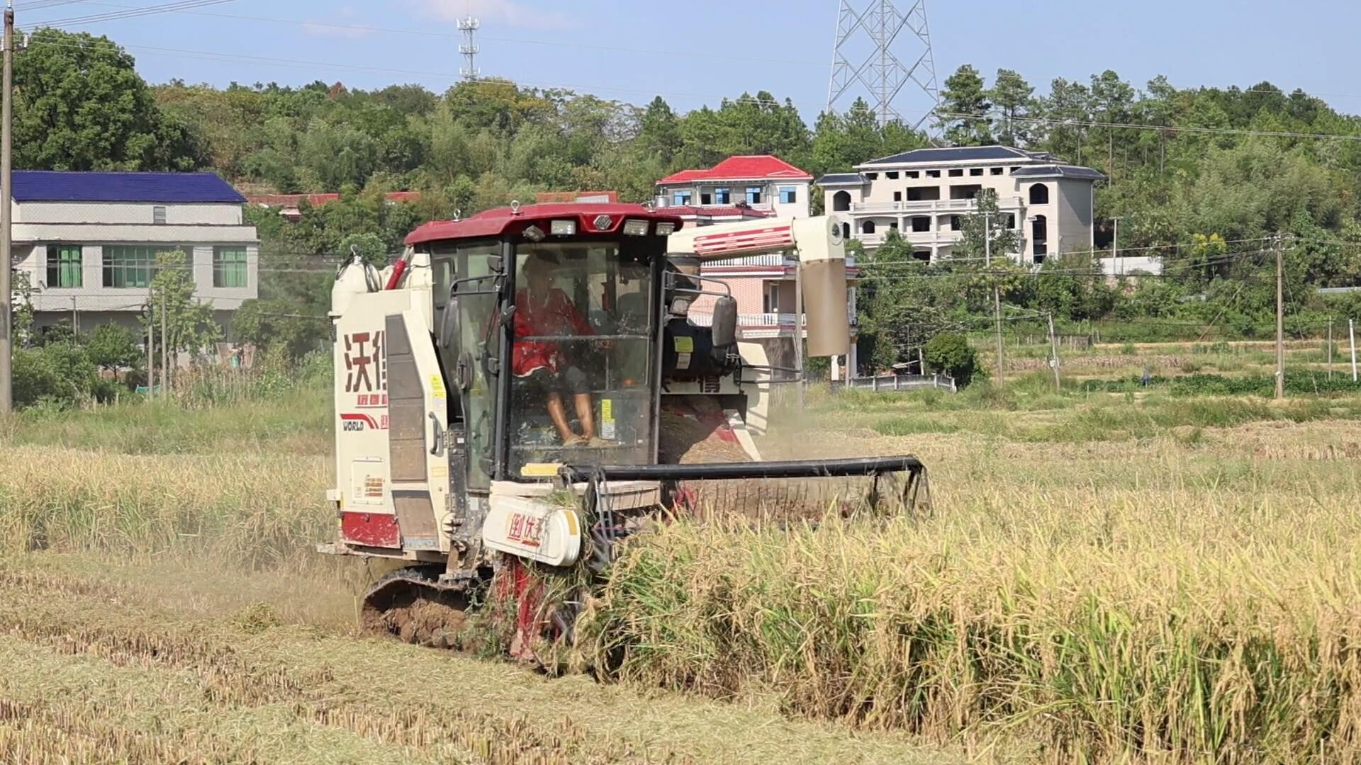 我县全力推进秸秆综合利用 实现“变废为宝”
