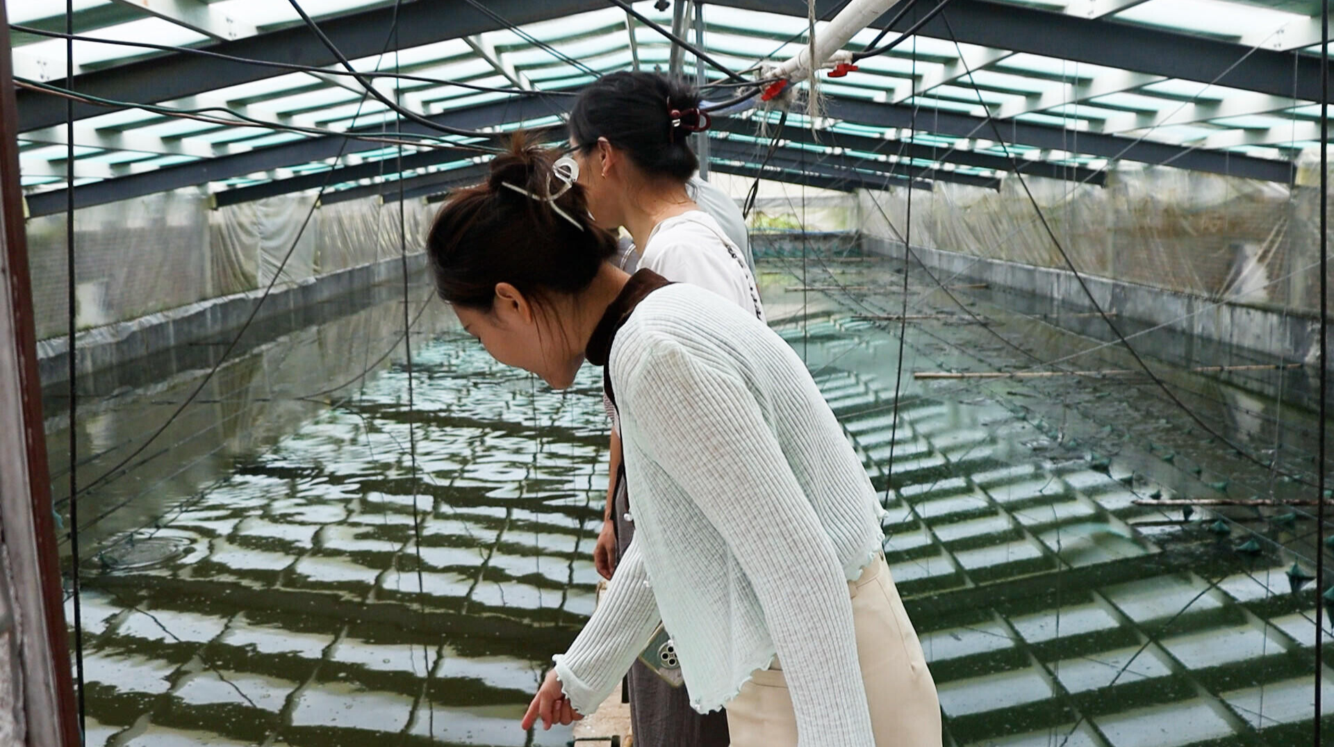 县农业农村局：开展农产品质量节前安全检查，守护群众舌尖上的安全