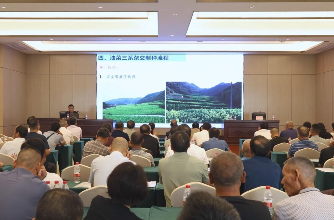 乡村振兴 | 我县开展2025年油菜制种技术培训 助力产业提质农民增收