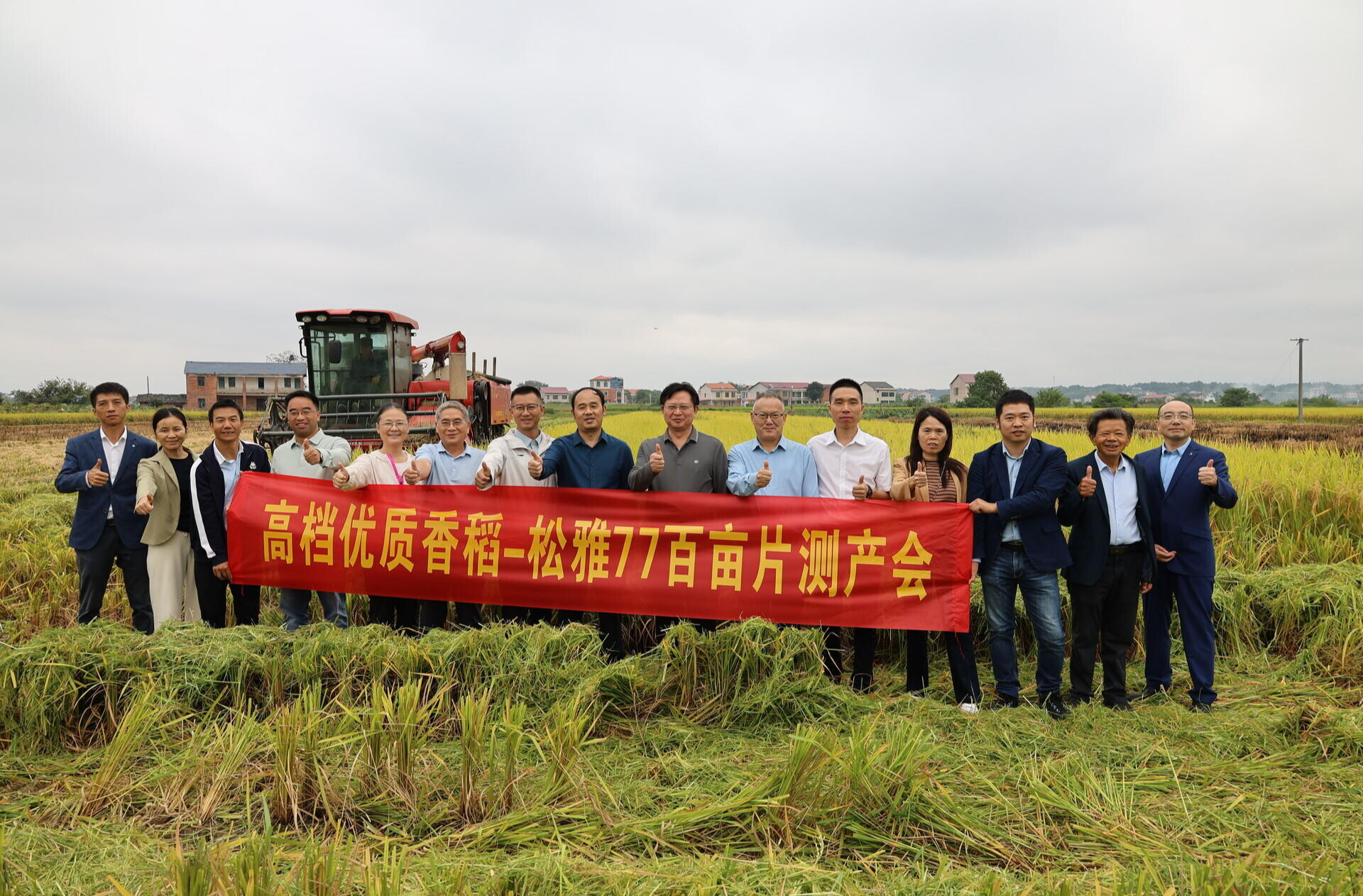 衡阳县百亩优质香稻