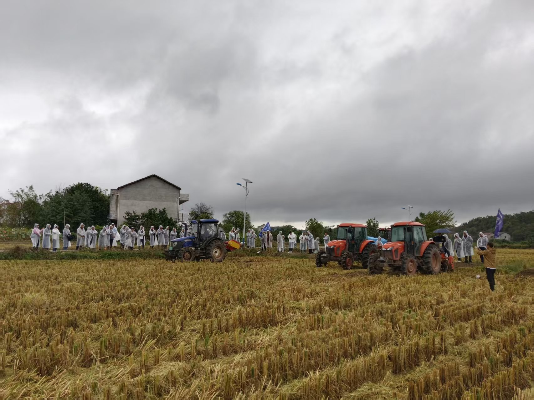 全省油菜机械直播技术培训走进我县 助力油菜产业提质增效