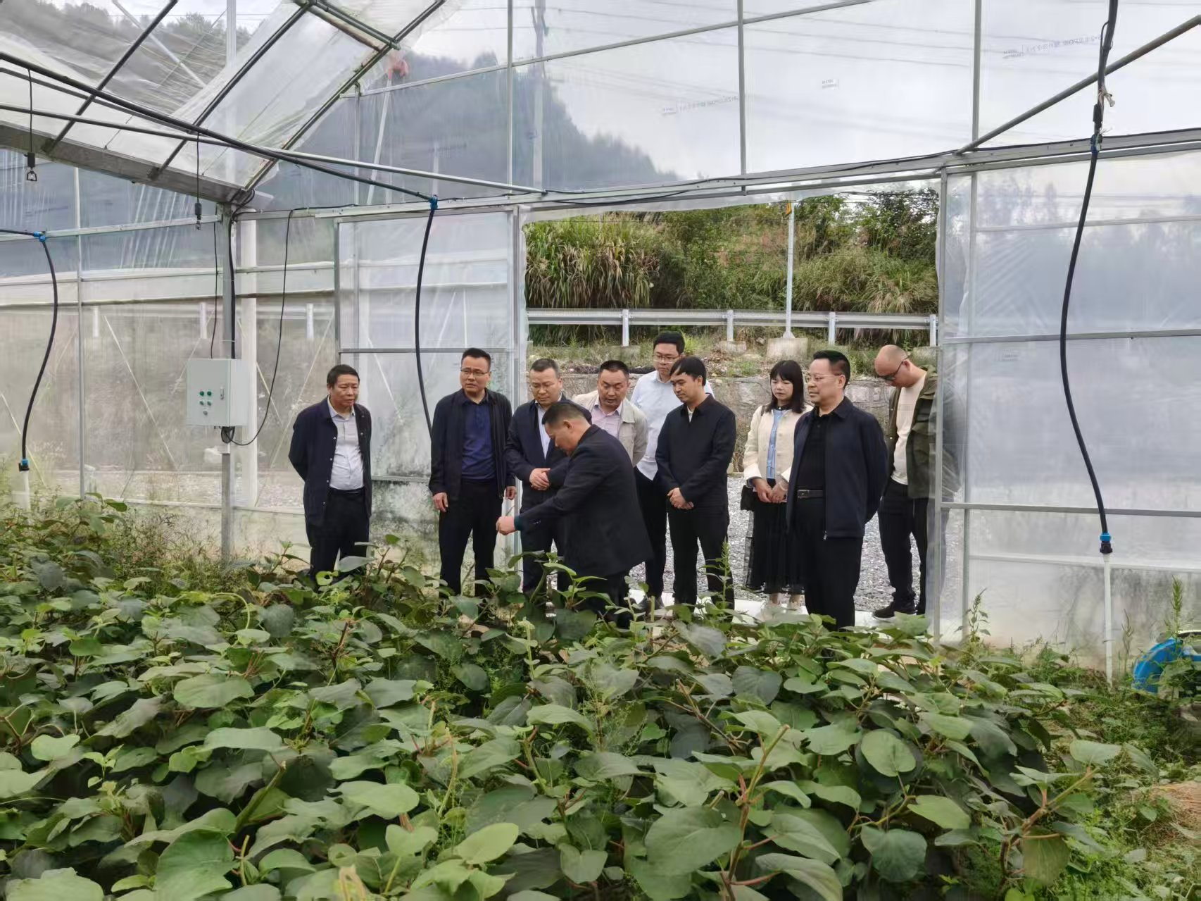 杨峰率队赴永顺县开展对口帮扶工作 深化产业合作 加强区域交流 促进两地共同发展