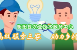 衡阳县政务服务办事指南视频版上线啦！