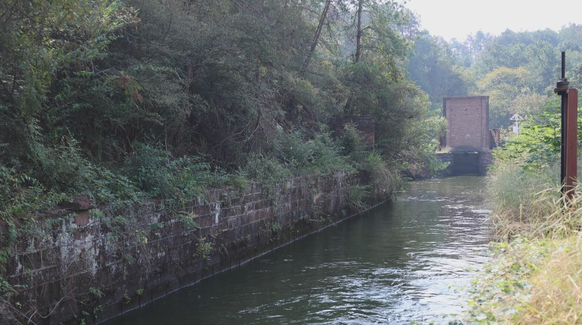 县水利局：开闸放水解民忧，护航秋冬油菜丰产路