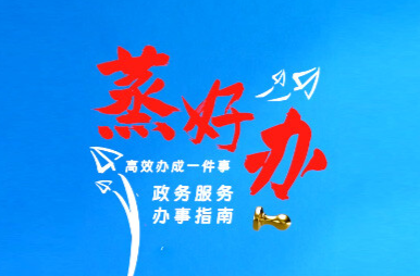 政务“蒸”好办