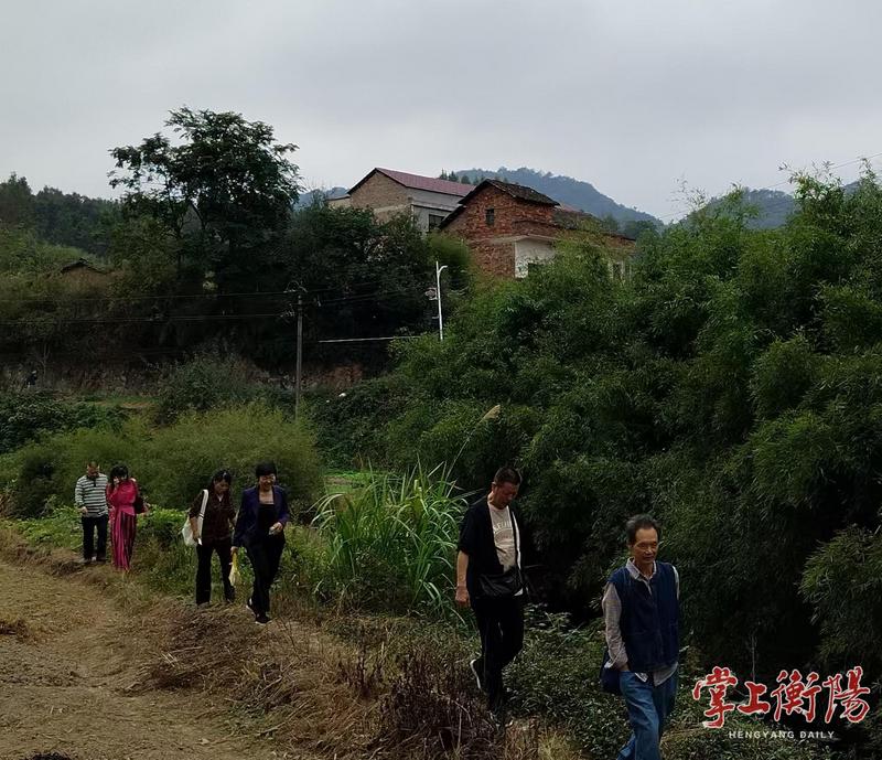 大雁文学艺术馆组织“重走田埂路”文艺创作采风