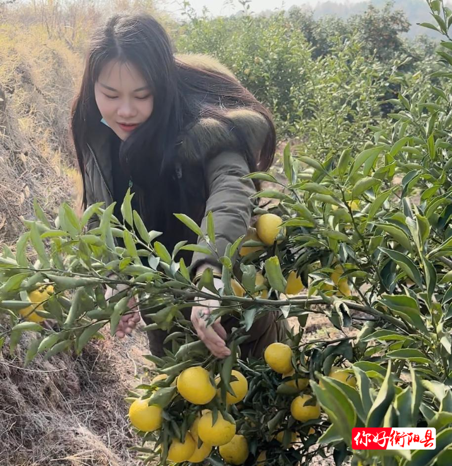 【“十五五”我所盼】让土产样样成“网红”