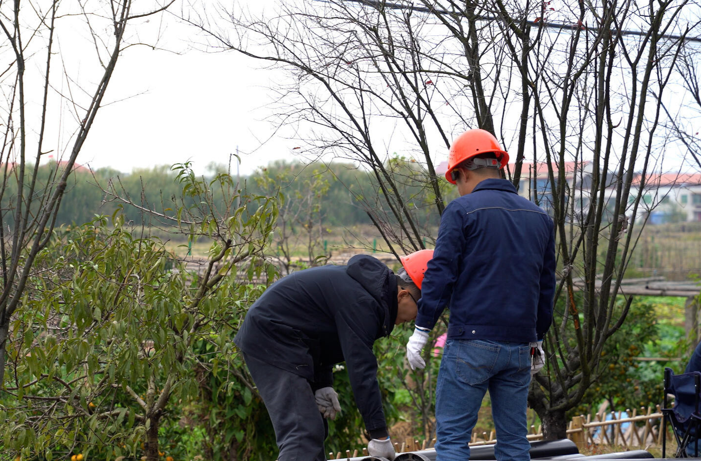 我为群众办实事 | 管网延伸通民心  告别机井用上“放心水”