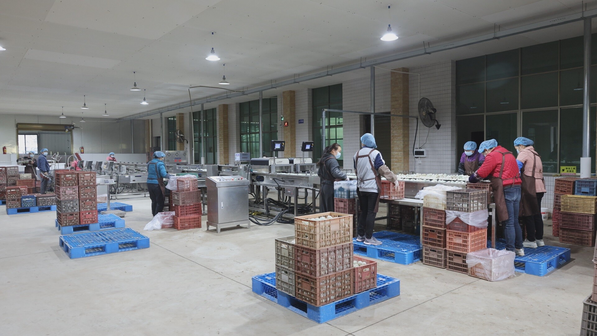 乡村振兴丨栏垅乡：乡贤“归巢”助发展 孵化“金”蛋产业