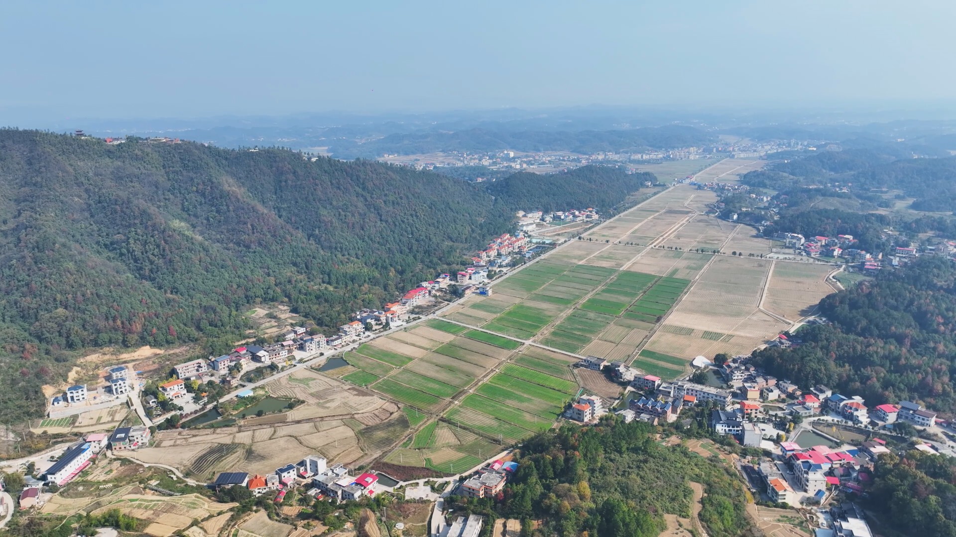 乡村振兴 | 我县加速推进高标准农田建设 夯实农业根基