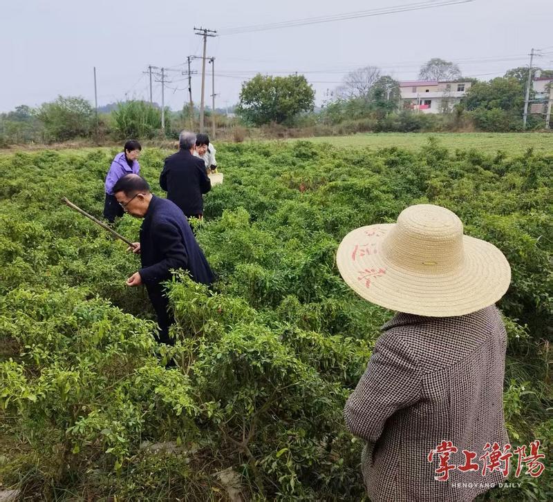 大雁文学艺术馆组织文艺爱好者下乡助农