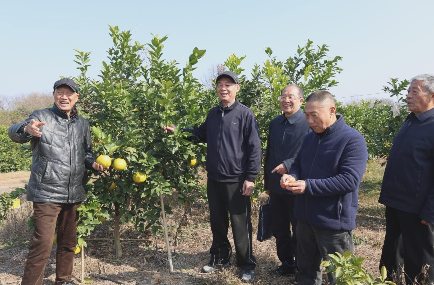 退休专家发挥烛光余热 科技为民助振兴