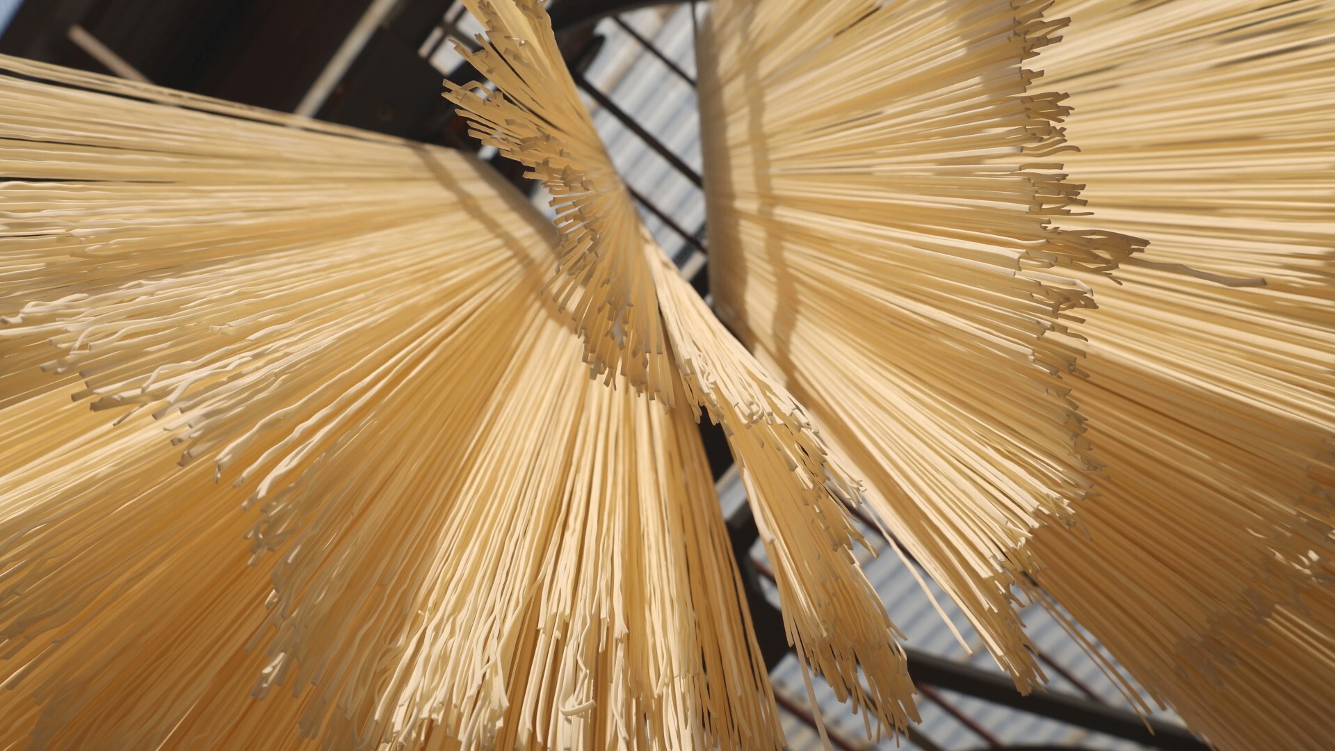 乡村振兴 | 栏垅乡：冬日“晒面”麦香四溢 产销两旺年味正浓