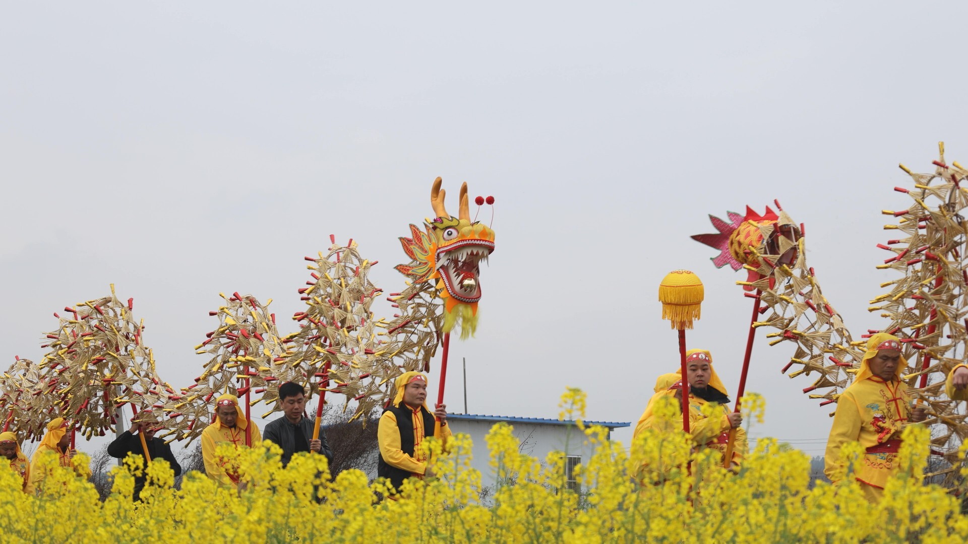 新春走基层｜九市稻草龙闹新春 非遗巡游年味浓