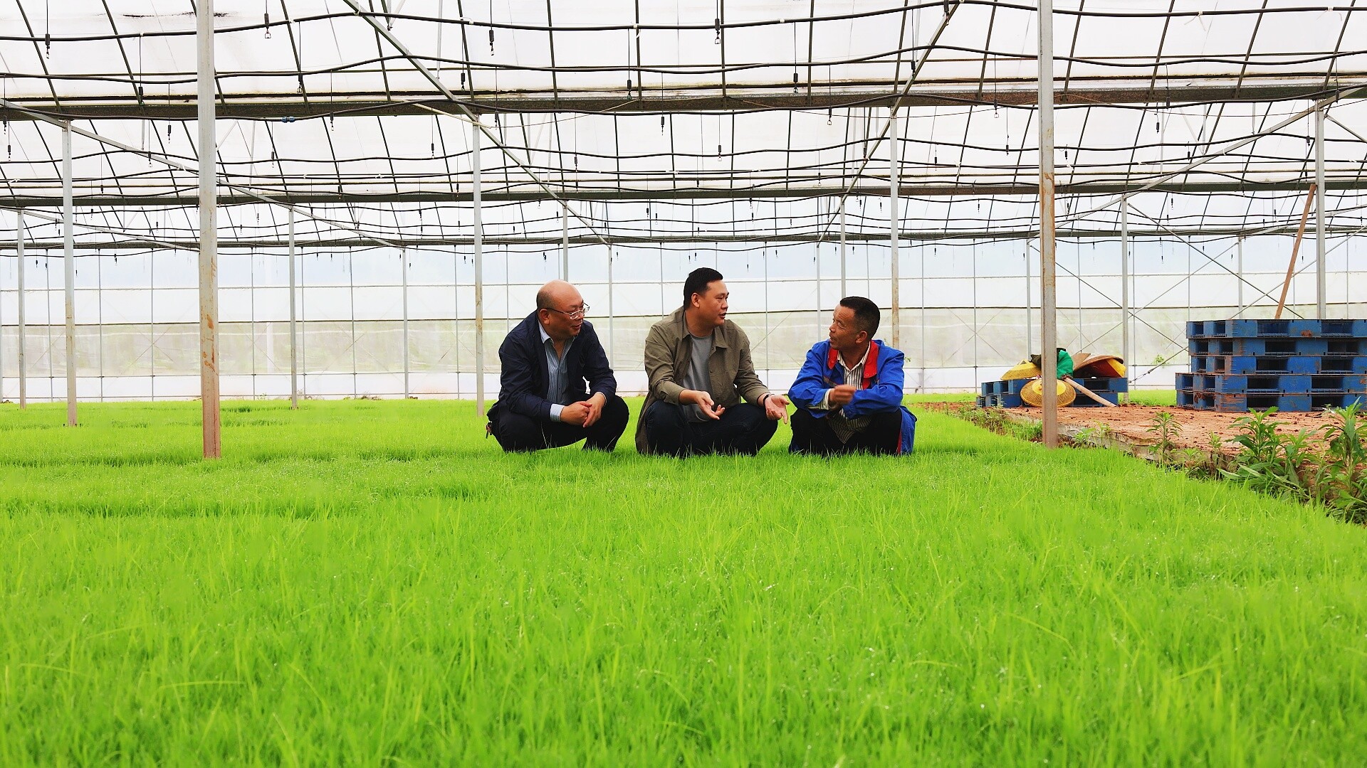 人勤春来早｜抢抓农时忙春耕 机械化助力早稻高效移栽