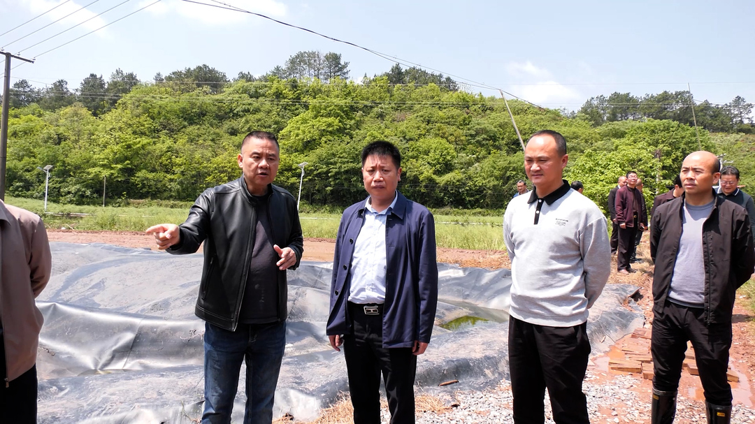 罗士夫督导畜禽养殖污染防治工作