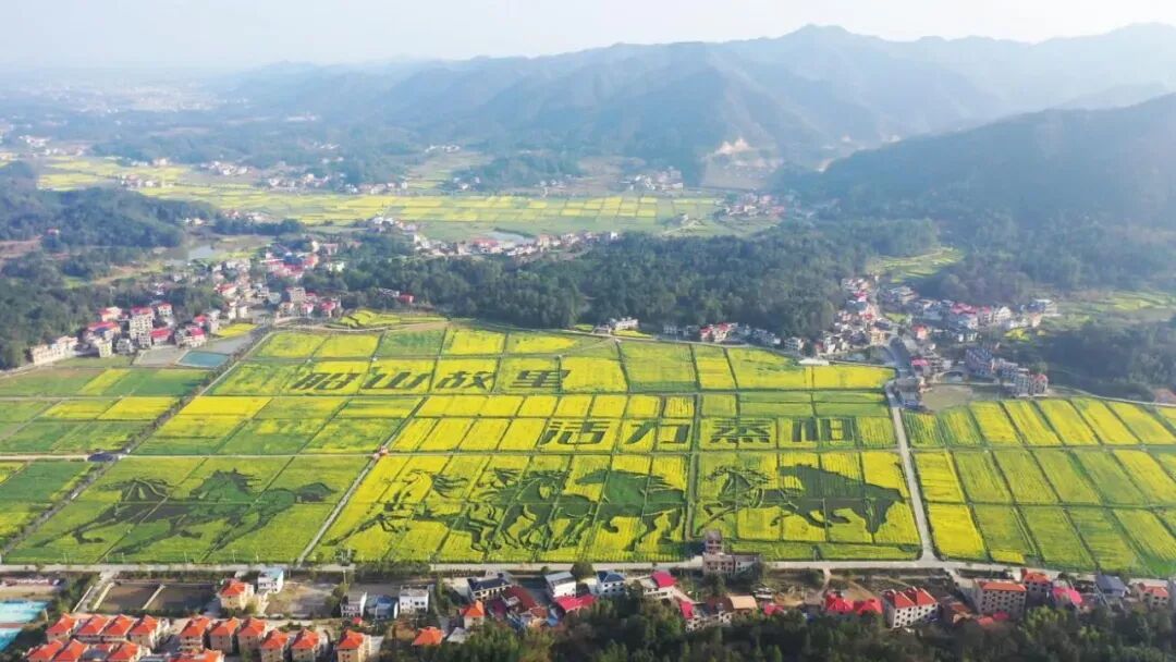 藏在岁月里的蒸阳味道，聚力扬帆品牌振兴之路