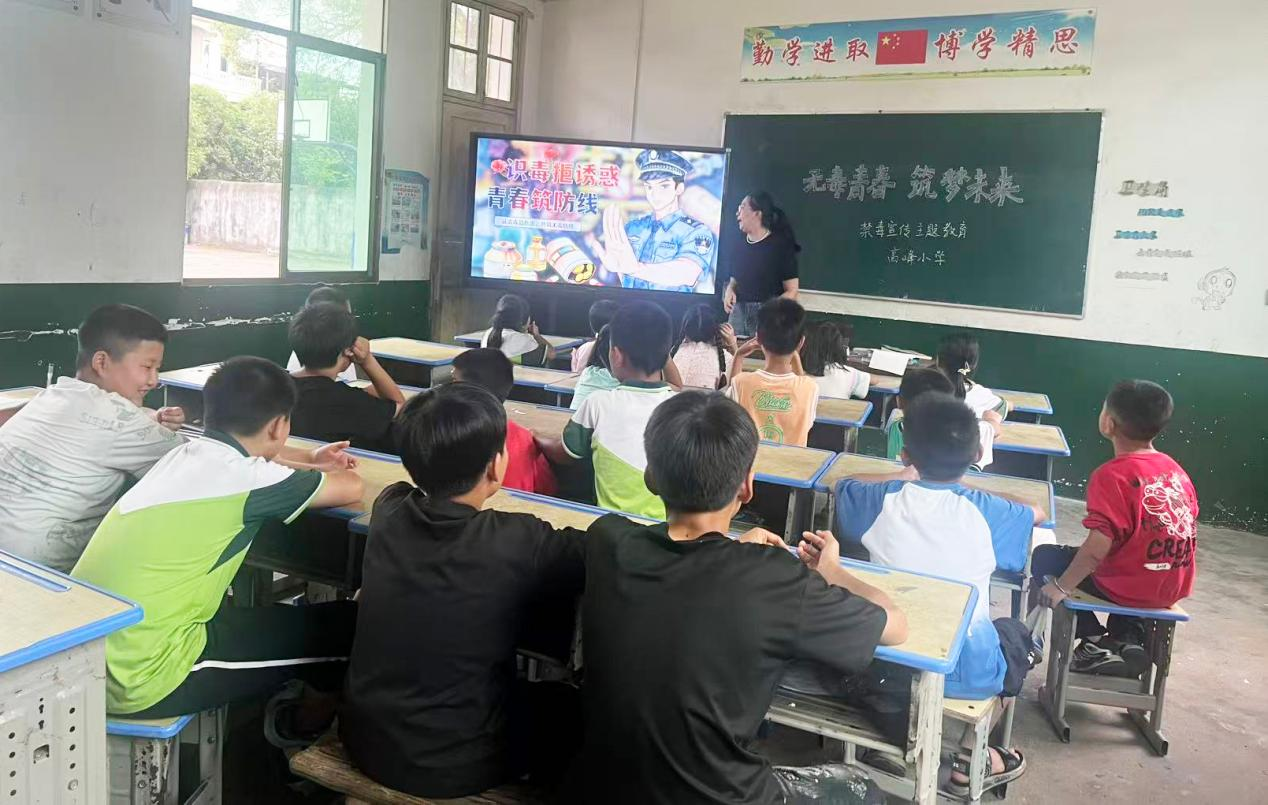衡阳县高峰小学：识毒拒诱惑 青春筑防线