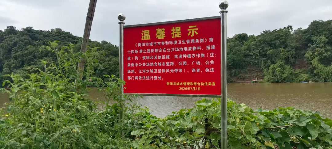 蒸水河道沿岸两侧违规菜地即将开展全面清理