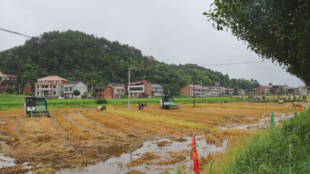 我县全面推广秸秆“收储运”与资源化利用先进模式 助力农业绿色发展