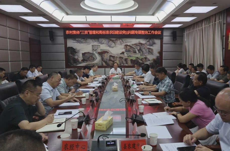 我县召开农村集体“三资”管理和高标准农田建设突出问题专项整治工作会议 杨峰出席并讲话
