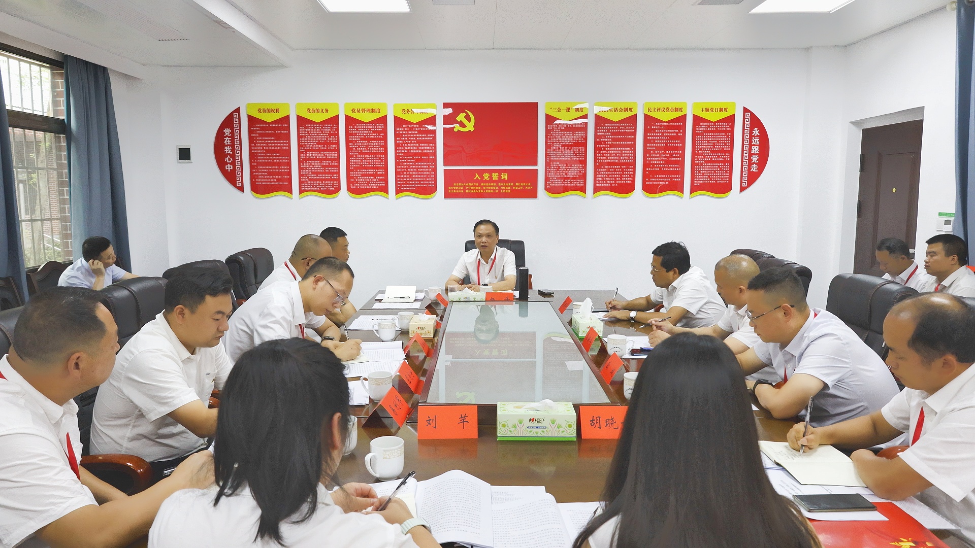 杨峰参加金兰镇代表团讨论