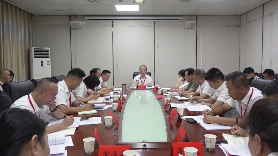 孙浩参加西渡镇代表团讨论