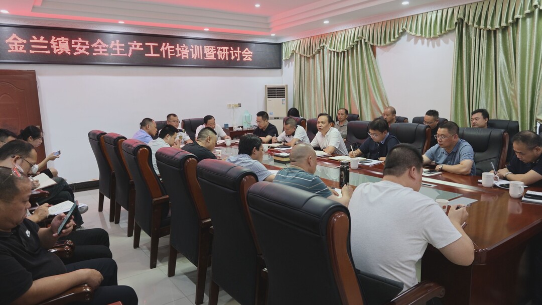 杨峰赴金兰镇调研并开展安全生产工作培训研讨 以高水平安全护航高质量发展 奋力谱写乡村振兴新篇章